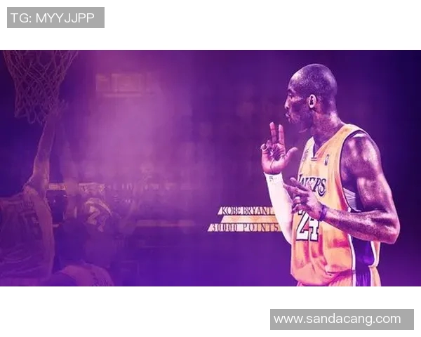 寻找篮球明星卡的最佳渠道和购买推荐分享