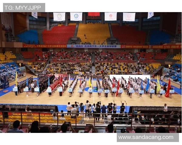 博乐篮球明星的崛起与挑战探索他们的奋斗历程与未来发展方向